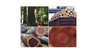 青島新沃家具實木優品：新生活的打開方式