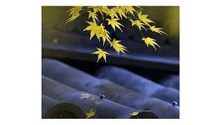 家，可以再多一點美